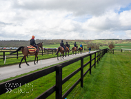 AK310322-12 - Alan King Stable Visit